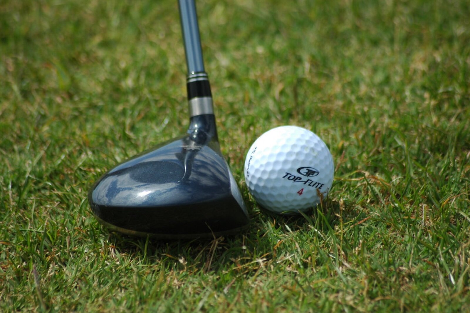 A fairway wood head resting on the grass behind a golf ball