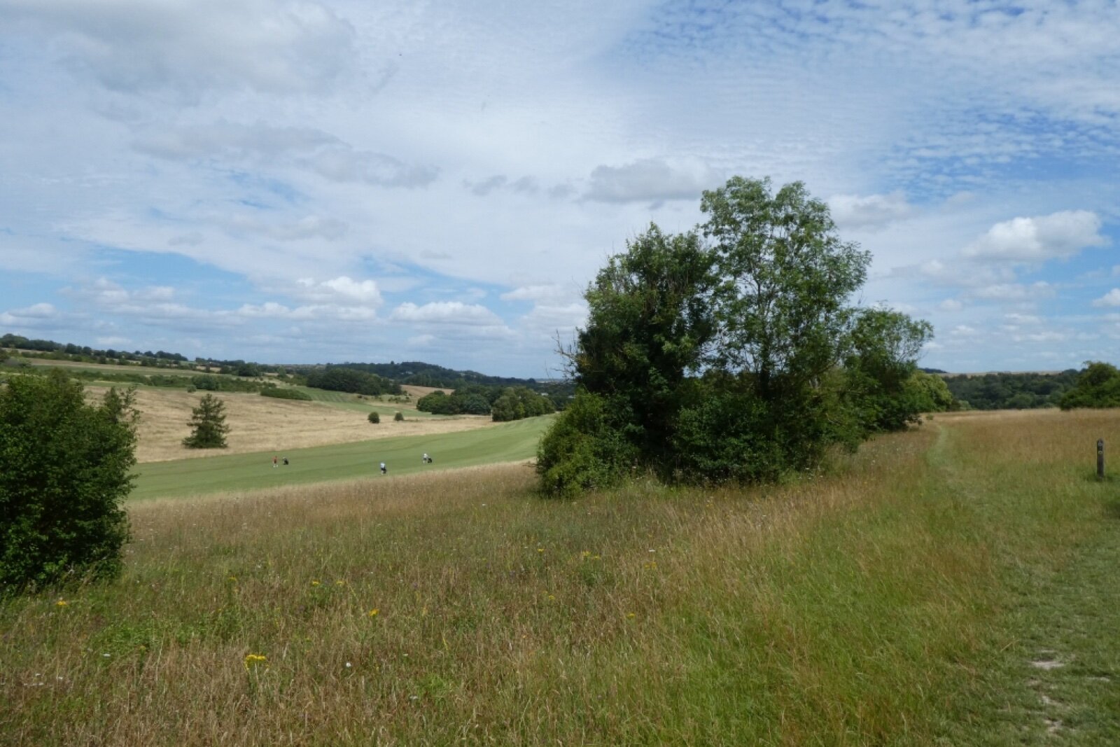 Fairways at Lullingstone Park golf course in the Darent Valley