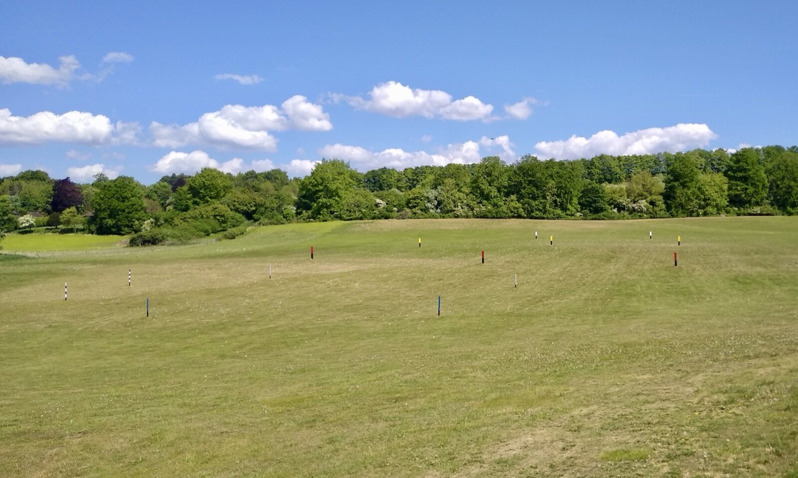 A grass driving range with yellow and red distance markers on a mown practice area, a line of trees behind under a blue sky