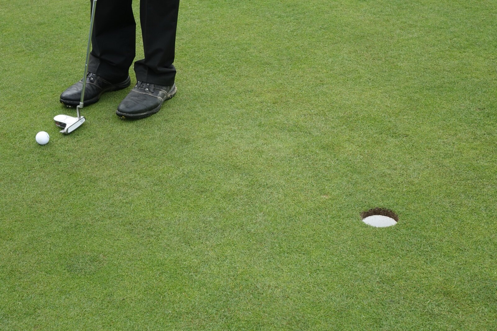 A golfer standing over a ball on a putting green with a mallet putter, the hole a few feet away