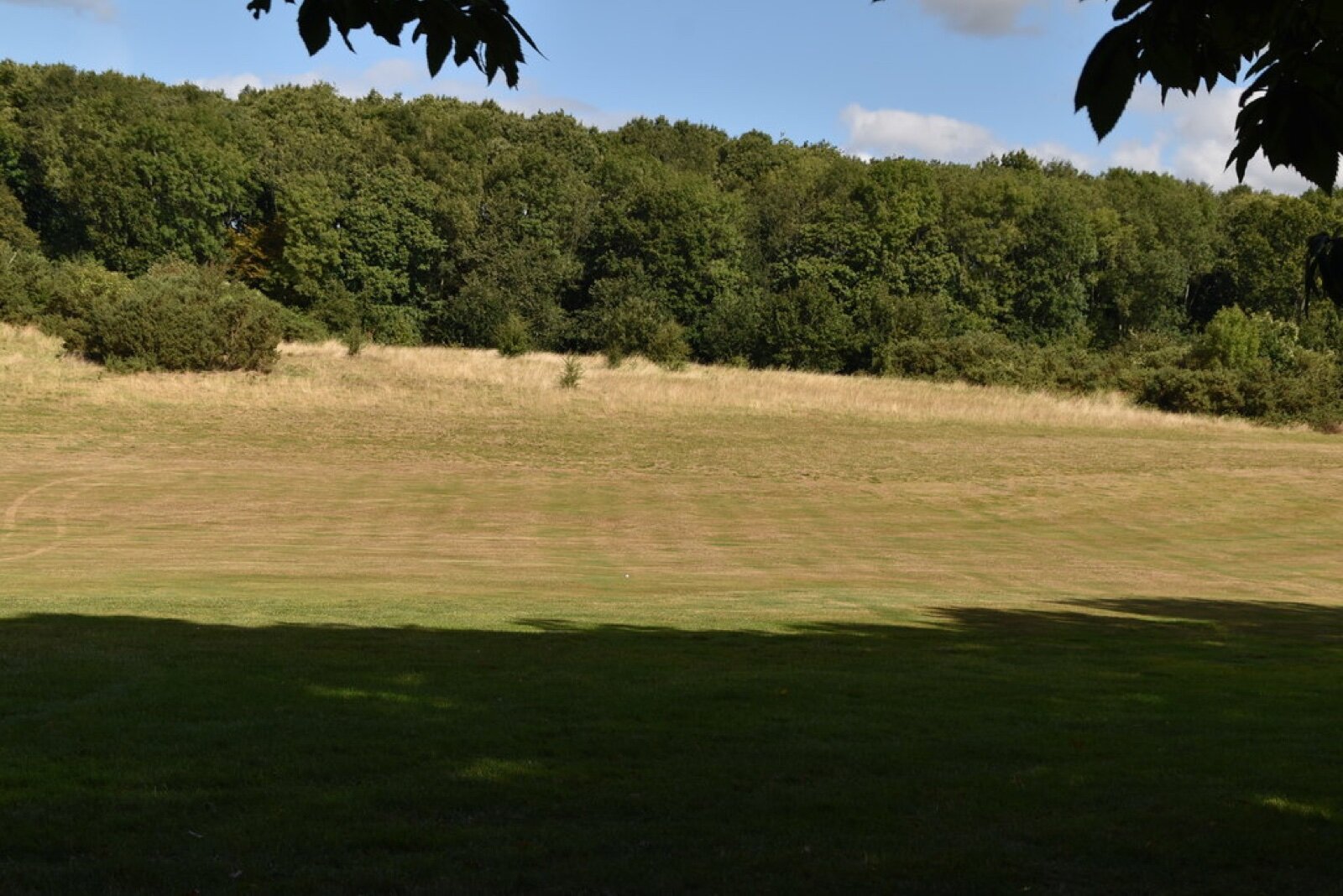 A wide fairway bordered by woodland at Kings Hill Golf Course in Kent