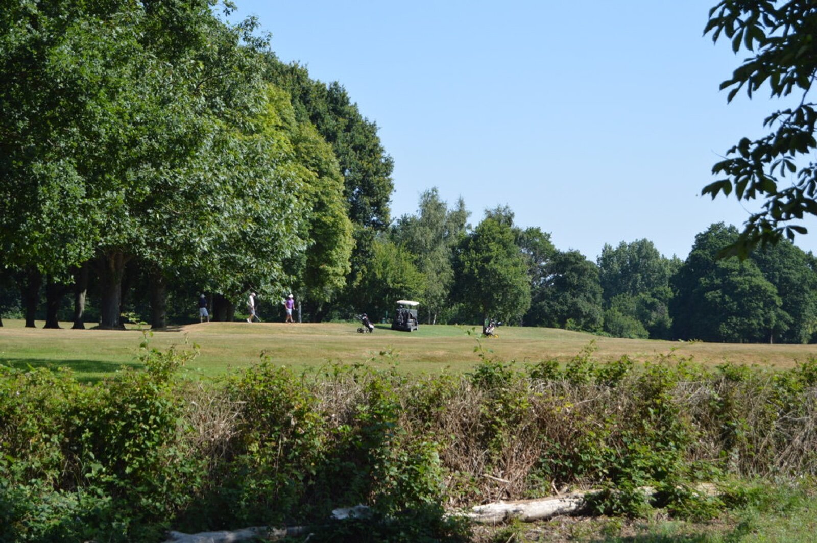 Golfers on the fairway at Hever Golf Course in Kent