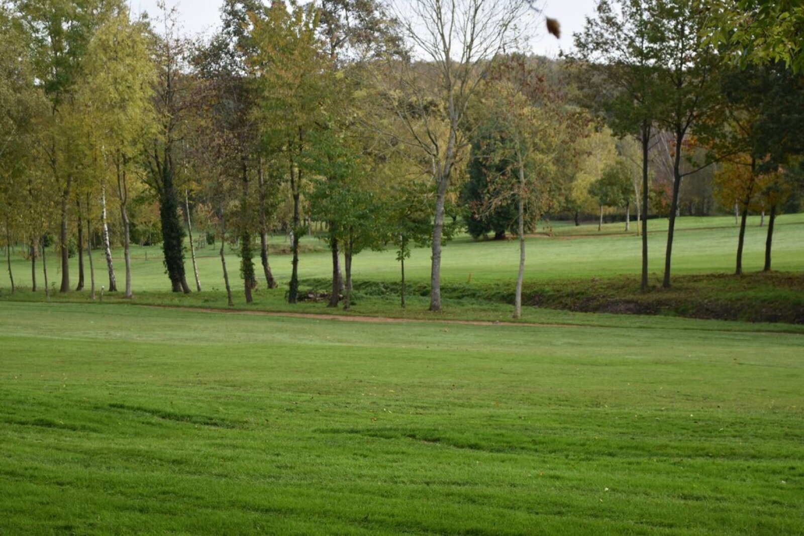 An autumn fairway lined with birch and oak at Sundridge Park Golf Course in Kent