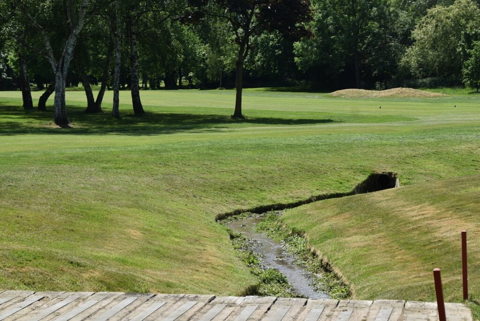A narrow stream running between mown fairways and silver birches at Langley Park Golf Course